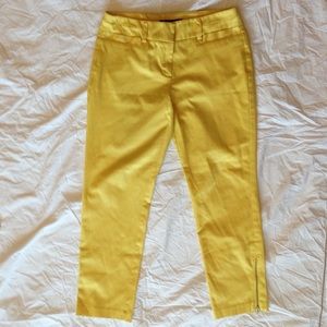 7th Avenue Suiting Collection New York & Company